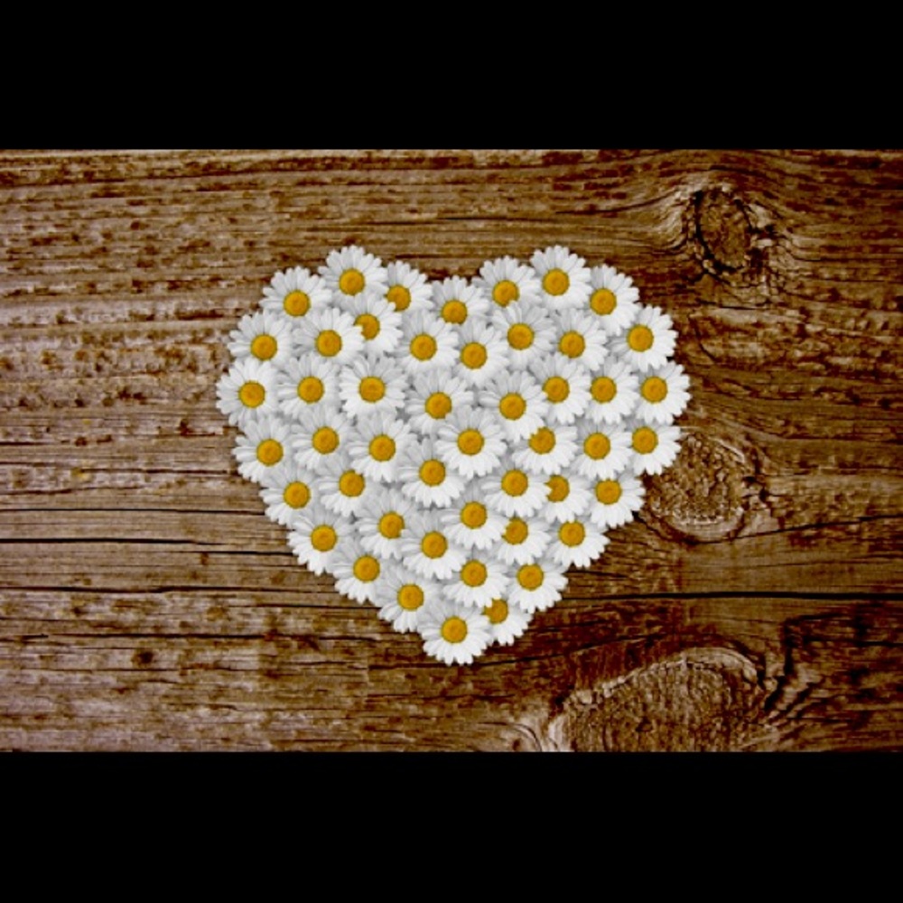 Meet your Posher, B Meadow